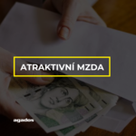 GRAFIKA AGADOS (3).png
